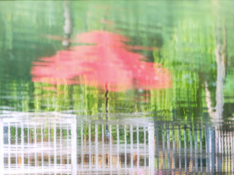 The World as You Perceive It