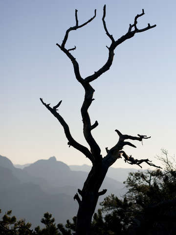 Grand canyon sunrise