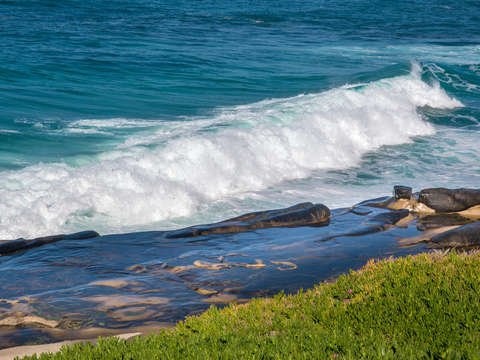 Low tide wave la jolla