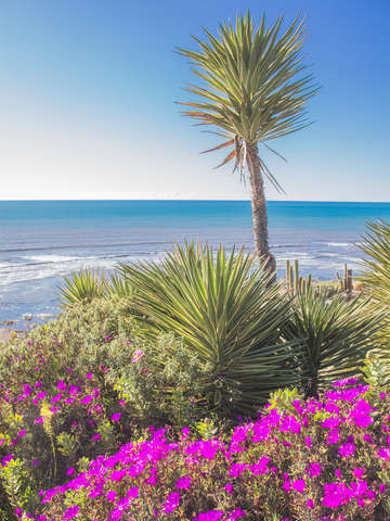 California coast colors