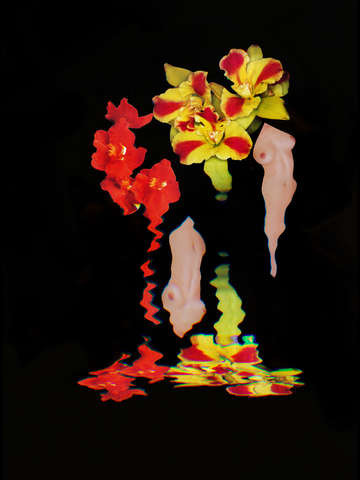 Orchid sensuality