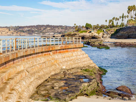 Children's Pool View, La Jolla