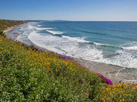 Swamis View