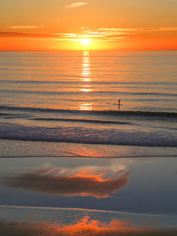 Paddle boarding on ocean during sunset