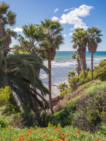 Steps to Beach