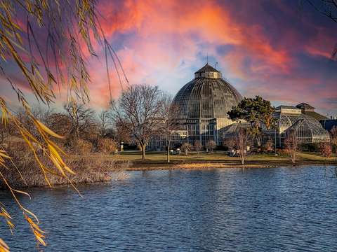 Downtown Detroit Belle Isle Conservatory IMG_6787