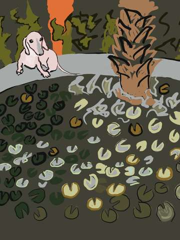 Frog Pond