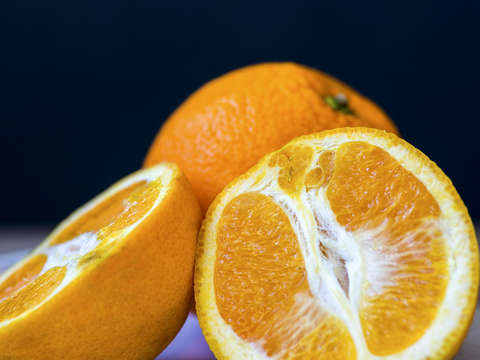 Orange Zest 2