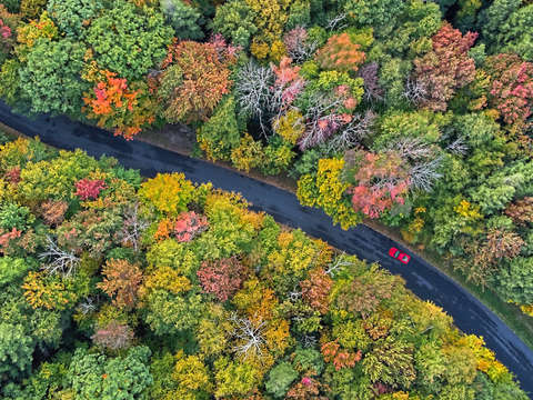 Autumn Drive From Above