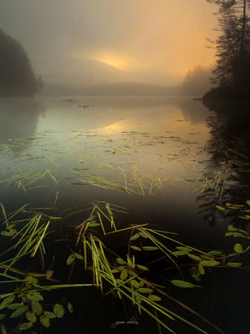 Hammond Pond