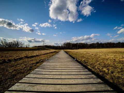 Straight and narrow