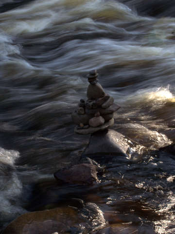 Stillness among movement