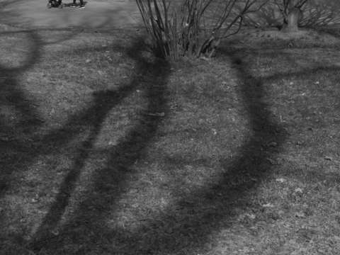 untitled (L2000362)