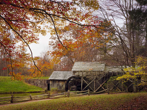 Autumn Canopy at Mabry Mill