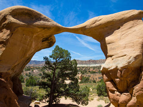 Metate Arch