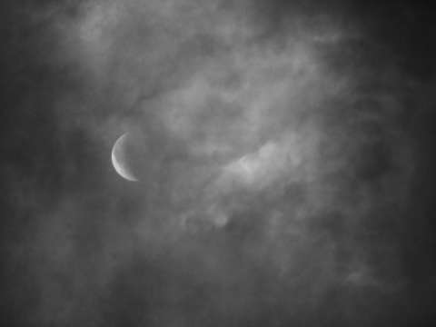 Early Morning Moon Black and White