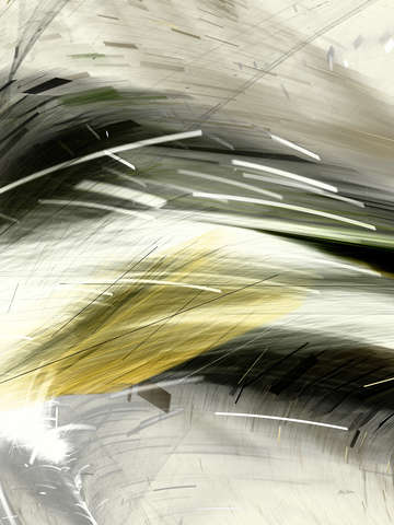 Shapes 17920