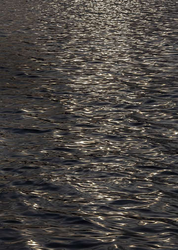 LIquid Light