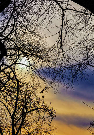 Sunset and Clouds Late Fall