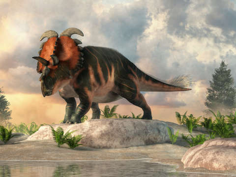 Albertaceratops