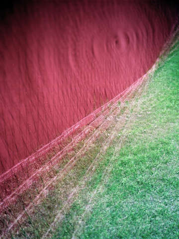Photo painting 8