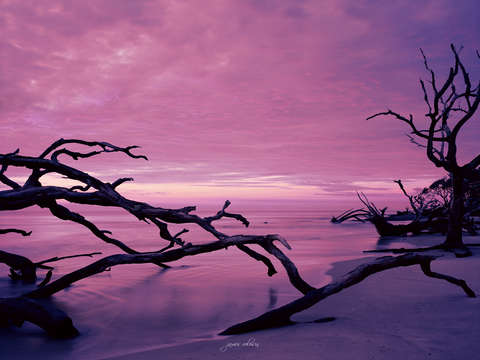 The Island