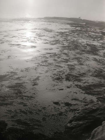 Ocean Sunrise