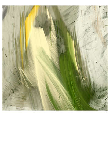 Shapes _ 17945