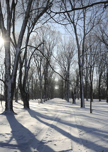 Winter Road