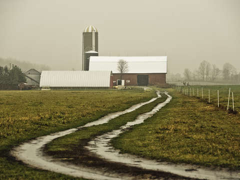 Barn