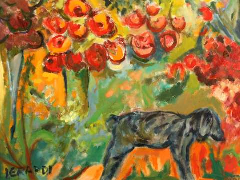 Duchy's Garden