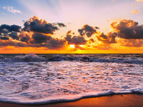 Taiguey hollywood fl