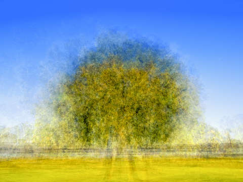 Impressions of hidden beauty