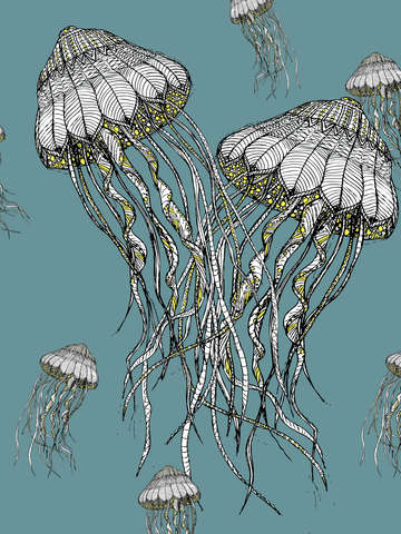Sea of Jelly