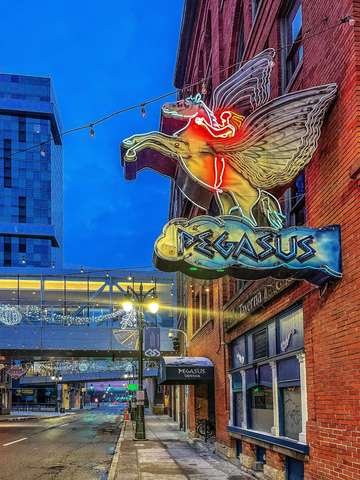 Pegasus IMG_7304 Detroit MI