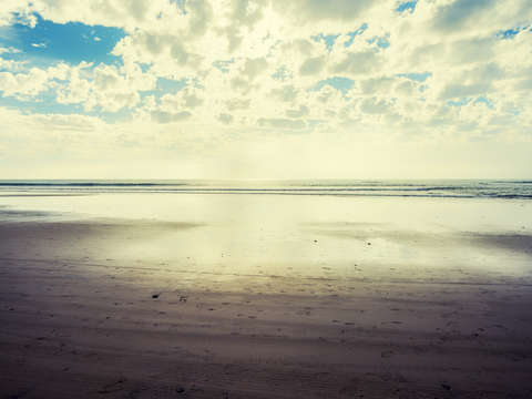 Adrift in winter