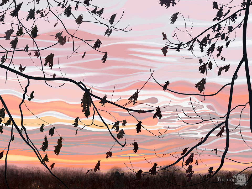 Oak leaves and morning sky