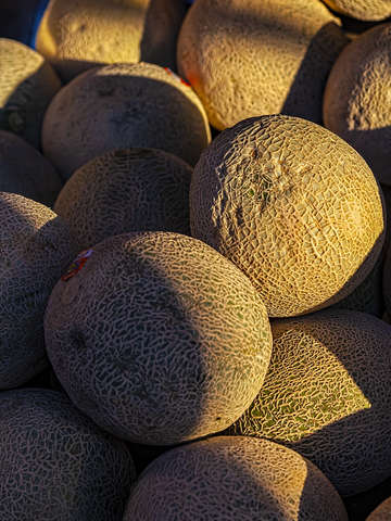 Melons