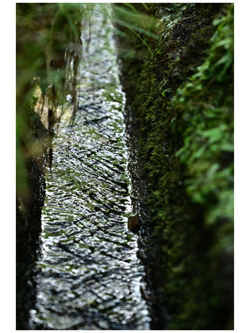 Infinite Path