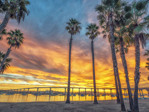 Reaching To Heaven, Coronado