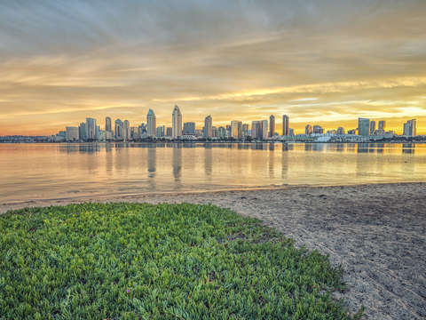 A Green Sunrise