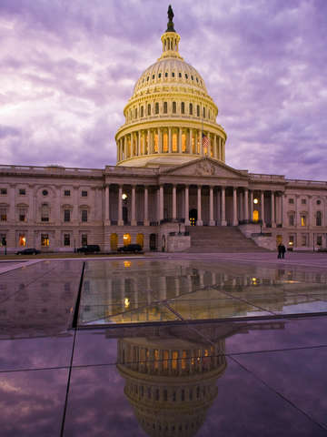 Capitol Reflection