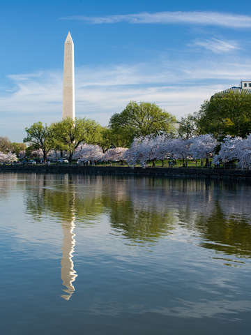 Washington monument 3