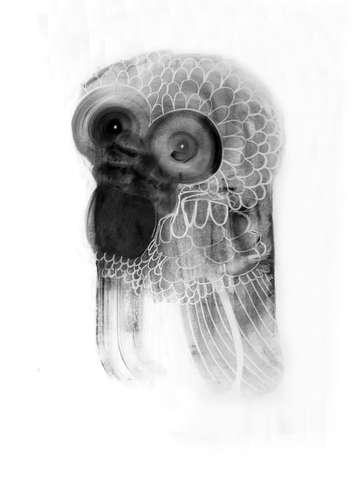 Untitled (Owl)
