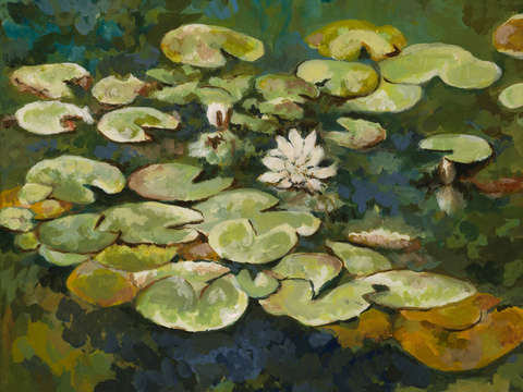 Serenity lotus pond i