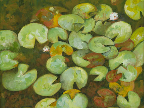 Serenity Lotus Pond II