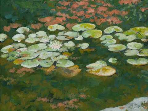 Serenity lotus pond iii