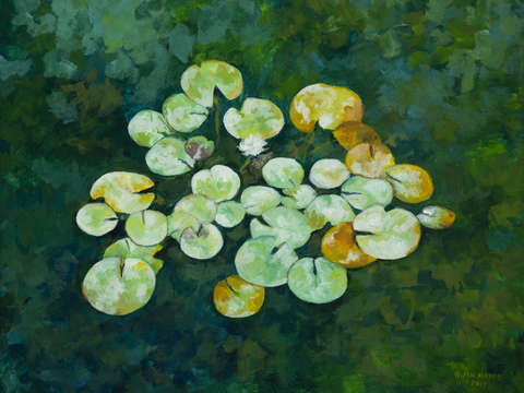 Serenity Lotus Pond IV