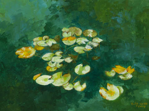 Tranquil Lily Pond II