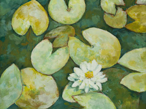 Tranquil Lily Pond III